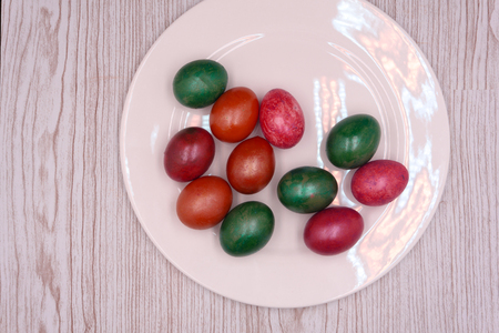 Colorful easter eggs in nest on meadowの写真素材