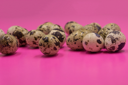 Quail eggs on pink background. Hand arranging the eggs. Food mishapの写真素材