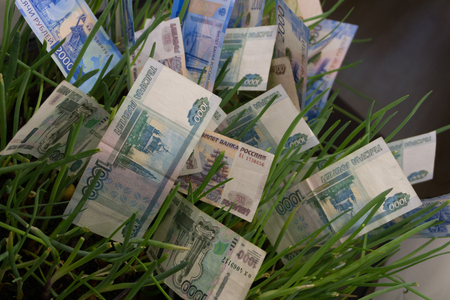 Russian ruble banknotes in green grass. Money growth. Financial concept
