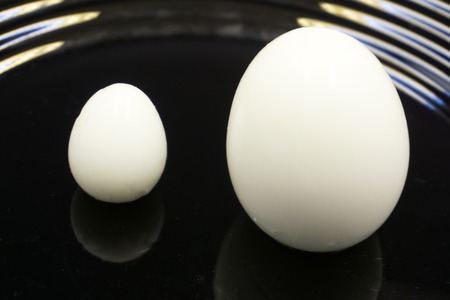 Two boiled eggs. One is bigger than the otherの写真素材
