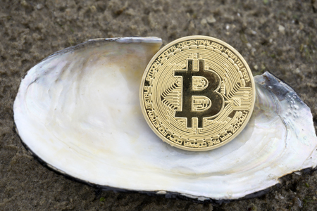 Golden bitcoin closeup on a background of seashells.の写真素材
