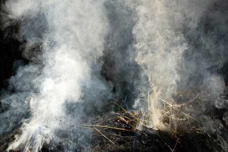 Close up fire burning stack of rice straw almost completeの写真素材