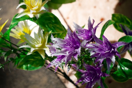 Artificial rose of cream-colored color handmade, isolated on white backgroundの写真素材