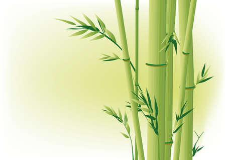 Bambooのイラスト素材