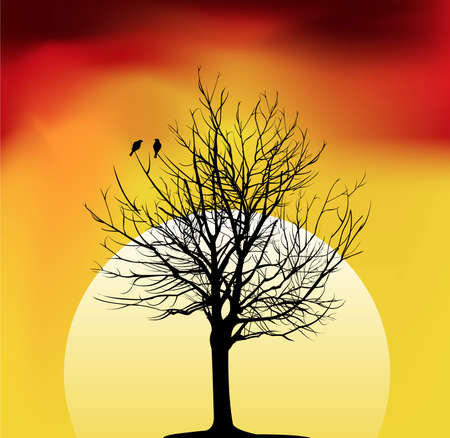 two birds on a tree in sunsetのイラスト素材