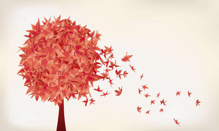 maple leavesのイラスト素材