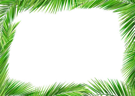 coconut leavesのイラスト素材