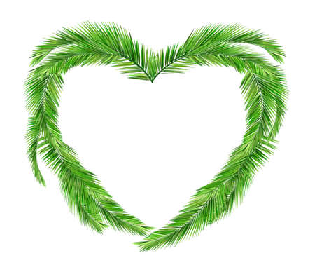 coconut leavesのイラスト素材