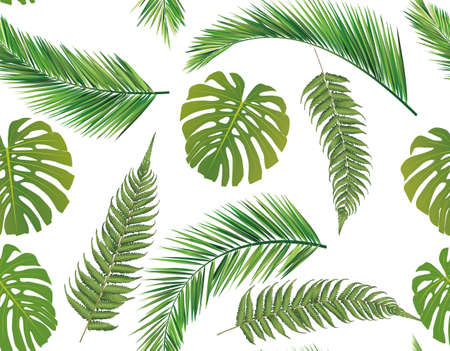 leaves backgroundのイラスト素材
