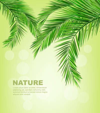 coconut leavesのイラスト素材