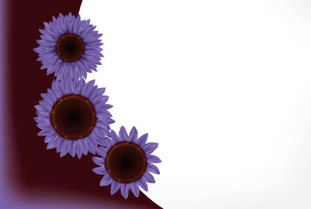 sunflowerのイラスト素材