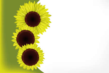 sunflowerのイラスト素材