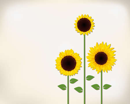 sunflowerのイラスト素材