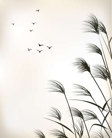 reed paintingのイラスト素材