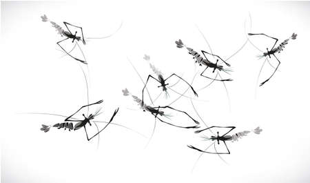 shrimp swim ink paintingのイラスト素材