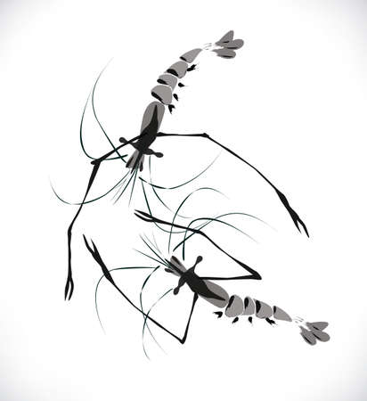 shrimp swim ink paintingのイラスト素材
