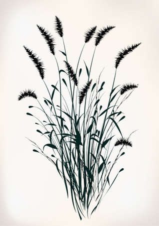 Grassのイラスト素材