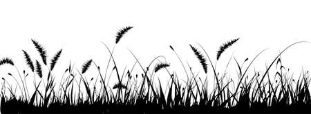 Grassのイラスト素材