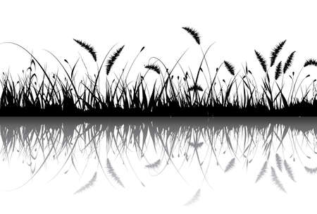 Grassのイラスト素材