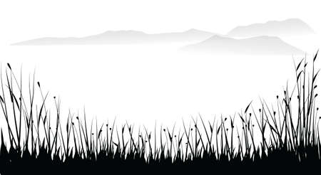 Grassのイラスト素材