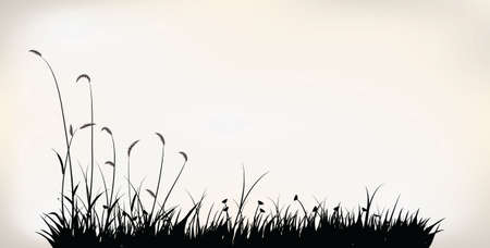 Grassのイラスト素材