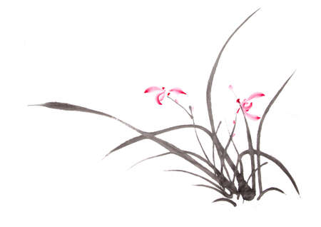 ink orchid drawingの写真素材