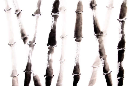 bamboo ink paintingの写真素材
