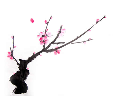 cherry paintingの写真素材