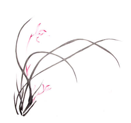 ink orchid drawingの写真素材