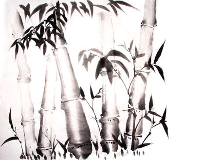 bamboo ink painting hand drawnの写真素材