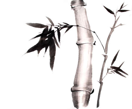bamboo ink painting hand drawnの写真素材