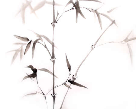 bamboo ink painting hand drawnの写真素材