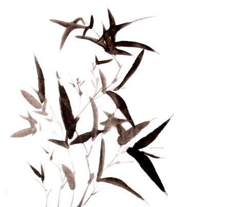 bamboo ink painting hand drawnの写真素材