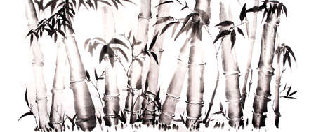 bamboo ink painting hand drawnの写真素材