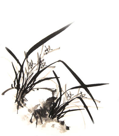 ink orchid drawingの写真素材