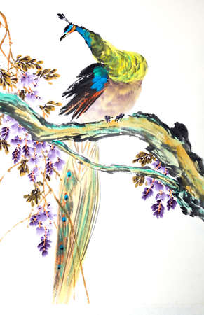 Chinese traditional painting of peacockの写真素材
