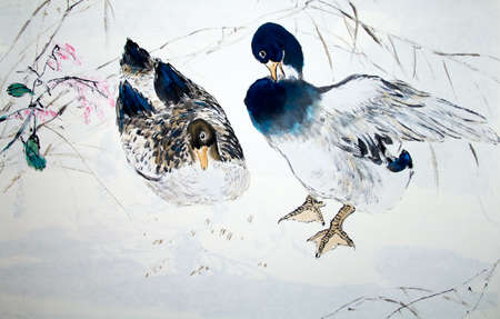 Chinese traditional painting of ducksの写真素材