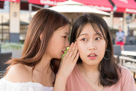 two girls are whisperingの写真素材