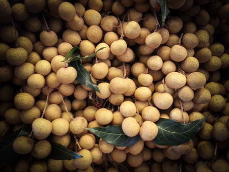 Longan big bunchの写真素材