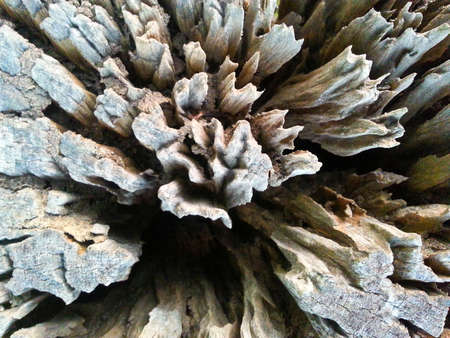 Stump the pattern