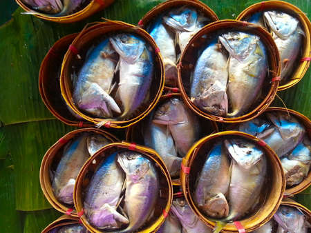 mackerel fish steam ready to eatの写真素材