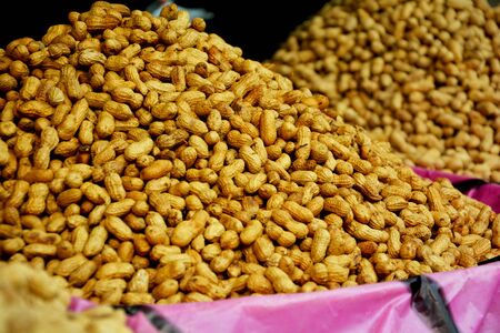 Heap of unpeeled, dried and roasted golden groundnuts, peanuts also known as goober or monkey nuts with shells classified as Arachis hypogaea being sold by vendorの写真素材