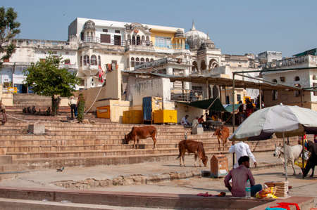 Pushkar Lake or Pushkar Sarovar is a sacred lake of the Hindus is located in the town of Pushkar in...