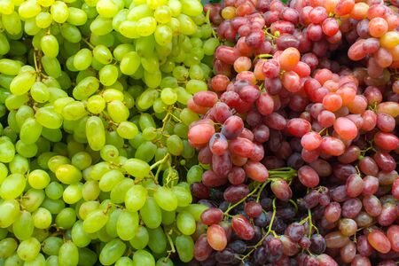 Healthy fruits Red wine grapes background in marketの写真素材