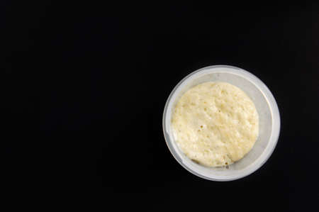 Sourdough for bread in a plastic container on a black background, top view, breeding Italian sourdough Levito Madreの写真素材
