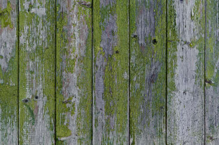 wooden background: old fence with peeling green paintの写真素材