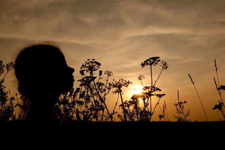 silhouette of a little girls head and grass at sunsetの写真素材