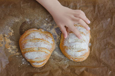 homemade wheat bread based on the italian leaven of Levito Madreの写真素材