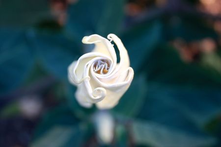 riddleの写真素材