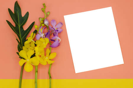 Beautiful fresh yellow and purple color orchids with philodendron xanadu leaf from top view isolated...